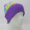 Oosc Apres Beanie - Purple, Blue, Yellow