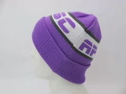 Oosc Apres Beanie - Purple, White, Grey